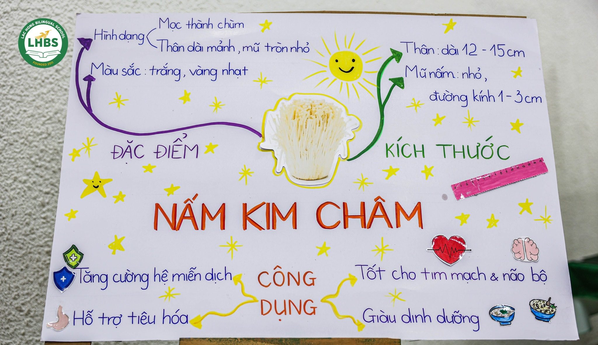 “KHÁM PHÁ THẾ GIỚI DIỆU KÌ CỦA NẤM” – TỔNG KẾT DỰ ÁN KHOA HỌC KHỐI 4